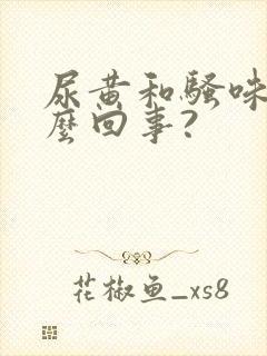 尿黄和骚味重怎么回事?