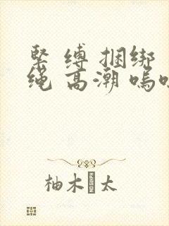 紧 缚 捆绑 绳 高潮 呜呜