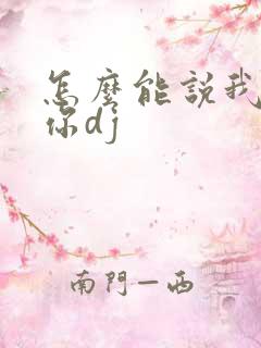 怎么能说我不爱你dj