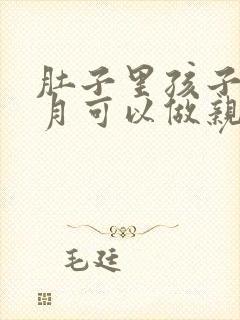 肚子里孩子几个月可以做亲子鉴定