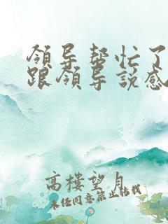 领导帮忙了怎么跟领导说感谢的话语