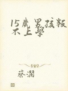 15岁男孩叛逆不上学