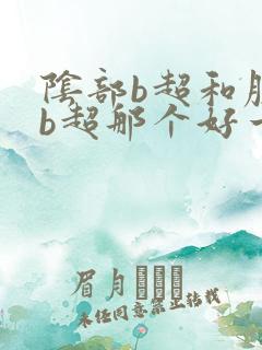 阴部b超和腹部b超那个好一点