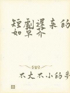 短剧迟来的深情如草芥