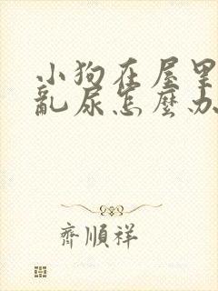 小狗在屋里乱拉乱尿怎么办