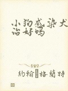 小狗感染犬瘟能治好吗