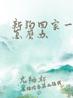 新狗回家一直叫怎么办