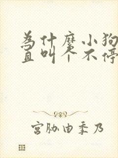 为什么小狗会一直叫个不停