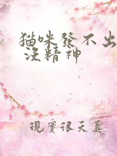 猫咪发不出声音 没精神