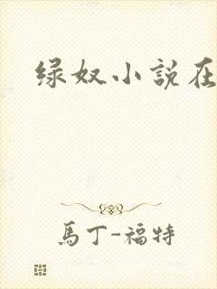 绿奴小说在线