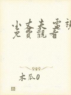 小丈夫 电视剧免费观看