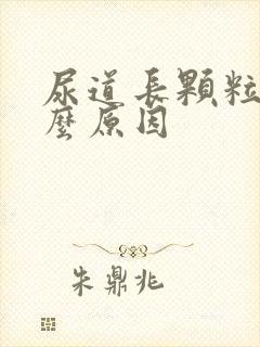 尿道长颗粒是什么原因