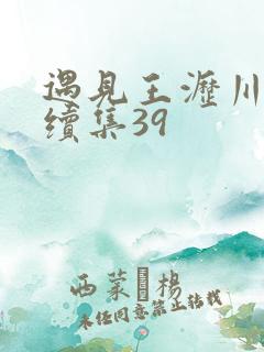 遇见王沥川番外续集39