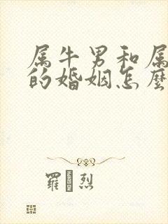 属牛男和属龙女的婚姻怎么样