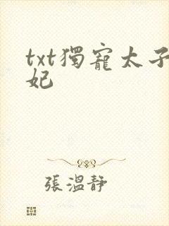 txt独宠太子妃