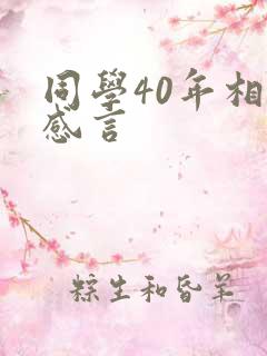 同学40年相聚感言