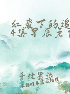 红岩下的追捕34集星辰免费看