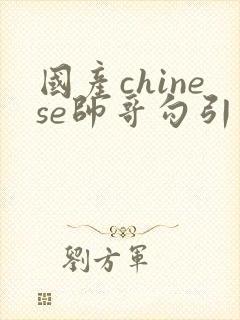 国产chinese帅哥勾引男同性恋guy