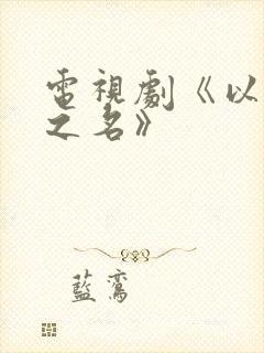 电视剧《以家人之名》