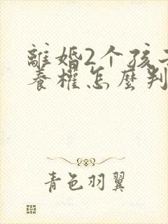 离婚2个孩子抚养权怎么判