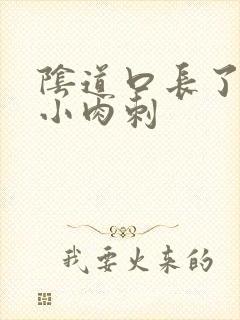 阴道口长了好多小肉刺