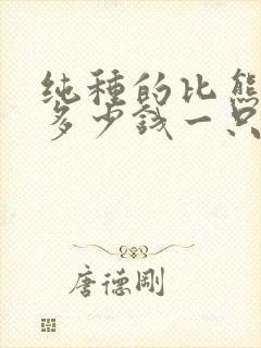 纯种的比熊价格多少钱一只