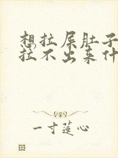 想拉屎肚子疼又拉不出来什么原因