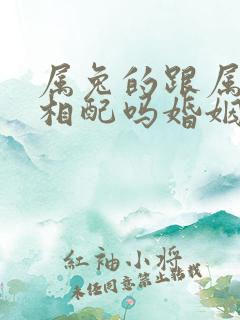 属兔的跟属猴的相配吗婚姻