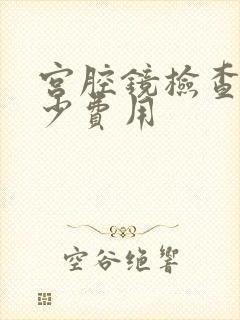 宫腔镜检查要多少费用