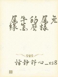 属牛的属兔的姻缘怎么样