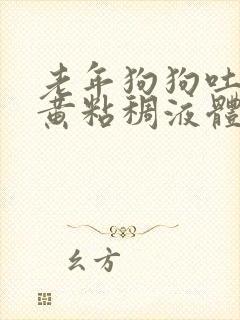 老年狗狗吐了黄黄粘稠液体