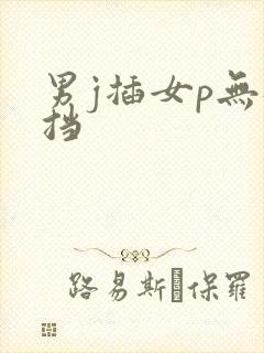 男j插女p无遮挡