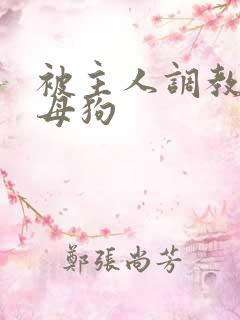 被主人调教的骚母狗