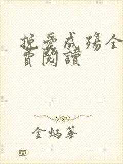 挽爱成殇全文免费阅读