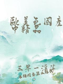 欧美色国产精品中精品