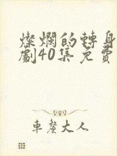 灿烂的转身电视剧40集免费观看全集