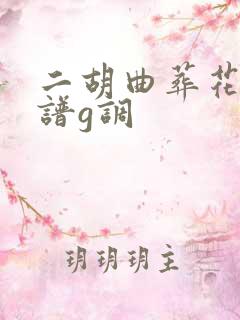 二胡曲葬花吟曲谱g调