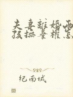 夫妻离婚两个小孩抚养权怎么判定