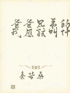 爸爸兄弟的孙子我应该叫什么