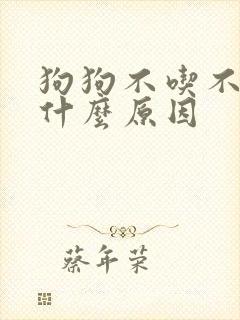 狗狗不吃不喝是什么原因