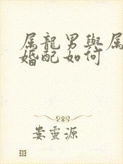 属龙男与属兔女婚配如何