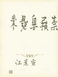 梦见自己生了四个儿子预示什么