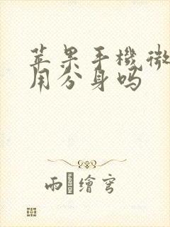 苹果手机微信能用分身吗