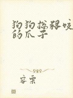 狗狗总啃咬自己的爪子