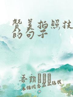 赞美拍照技术好的句子