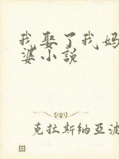 我娶了我妈当老婆小说