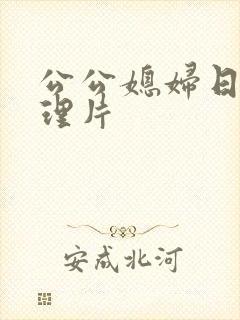 公公媳妇日本伦理片