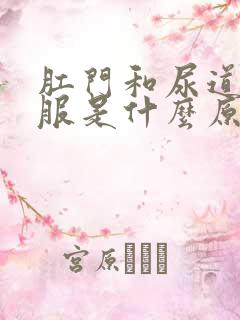 肛门和尿道不舒服是什么原因