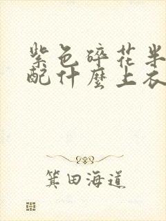 紫色碎花半身裙配什么上衣好看