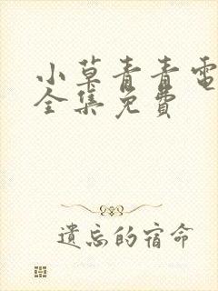 小草青青电视剧全集免费